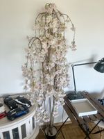 Cerisier du Japon naturalisé par un artiste 