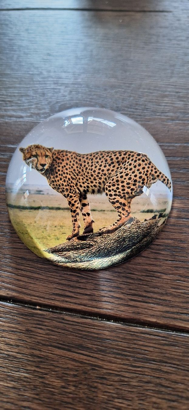 Bicchieri: Briefbeschwerer mit Gepard NEU OVP – Nuovo e nell'imballaggio originale da Arisdorf venduto da nde_q52j 1