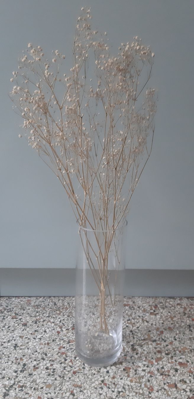 Vasi & Recipienti: Vase mit Trockenblumen – Nuovo e nell'imballaggio originale da Zürich venduto da Venecia25 1