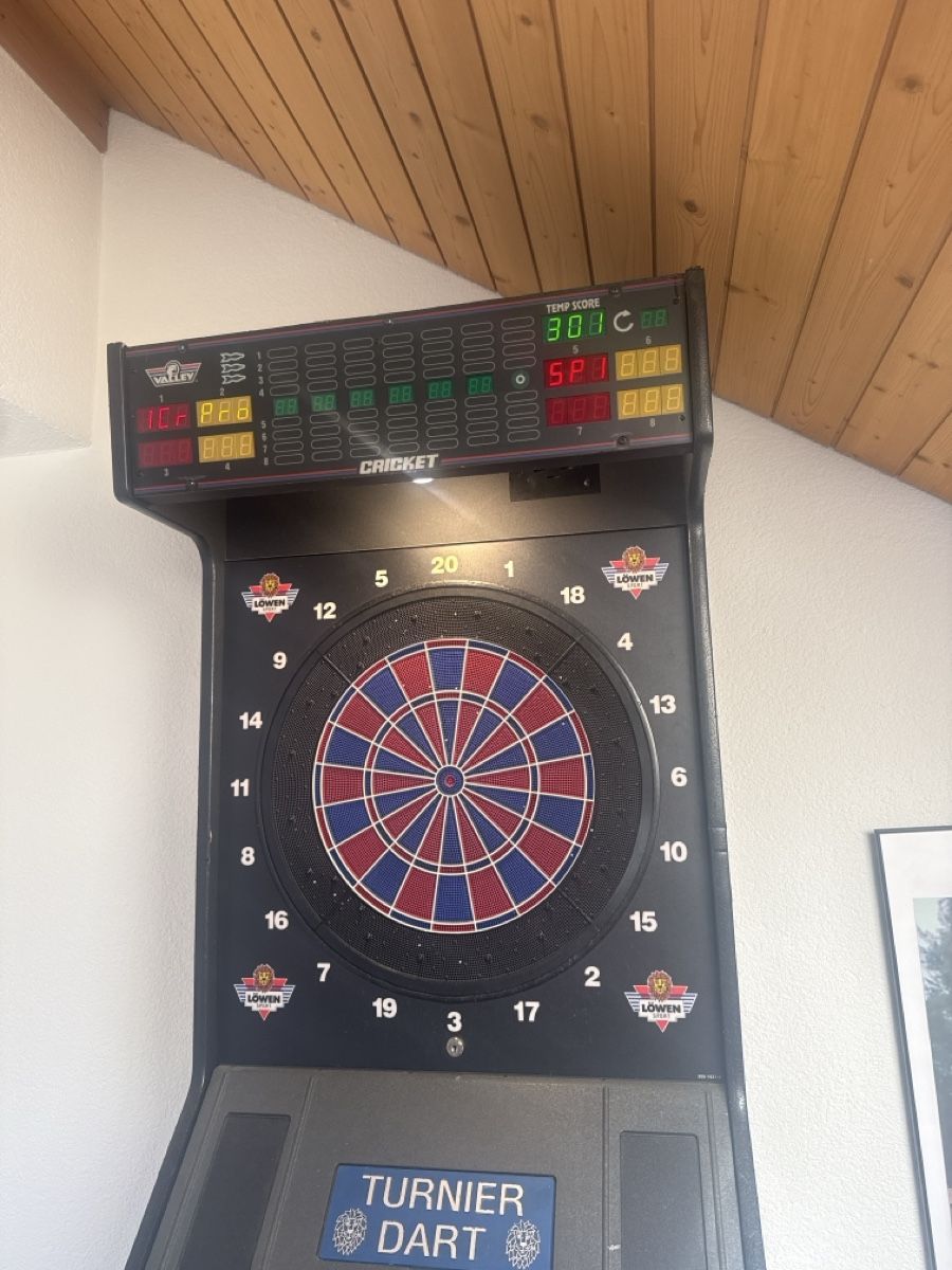 Freccette: Dartautomat Löwen Turnier Dart gebraucht – Usato da Wettingen venduto da kw9_d8y7 3