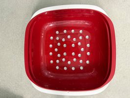 Tupperware Allegra Schale