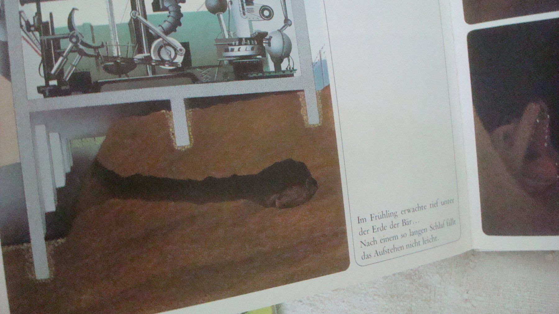 Bücher: Der Bär, der ein Bär bleiben wollte – Gebraucht aus Münchenstein von Pesci6 5