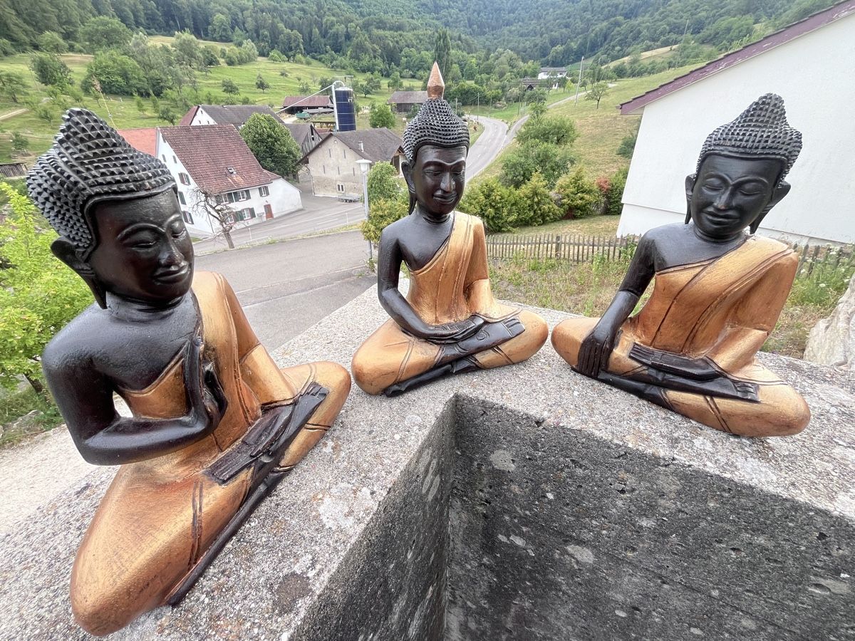 Sculture & Statue: 3 handgeschnitzte Holz-Buddhas aus Kambodscha – Nuovo (secondo la descrizione) da Büsserach venduto da Cabstardwarf3 5
