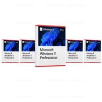 Windows 11 Pro (5 keys)