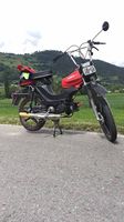 Pony Cilo 520 Cross