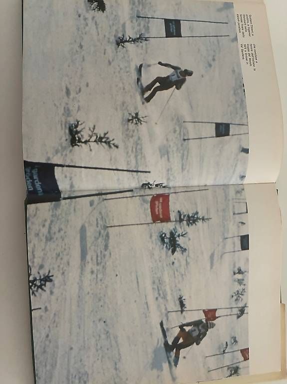 Libri: Il libro dello Sci di Guido Oddo – Usato da Riva San Vitale venduto da Samantha78 2