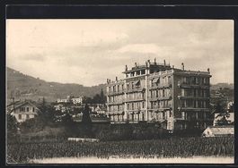 Vevey, Hotel des Alpes et Mont Pelerin