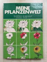 MEINE PFLANZENWELT zum Färben