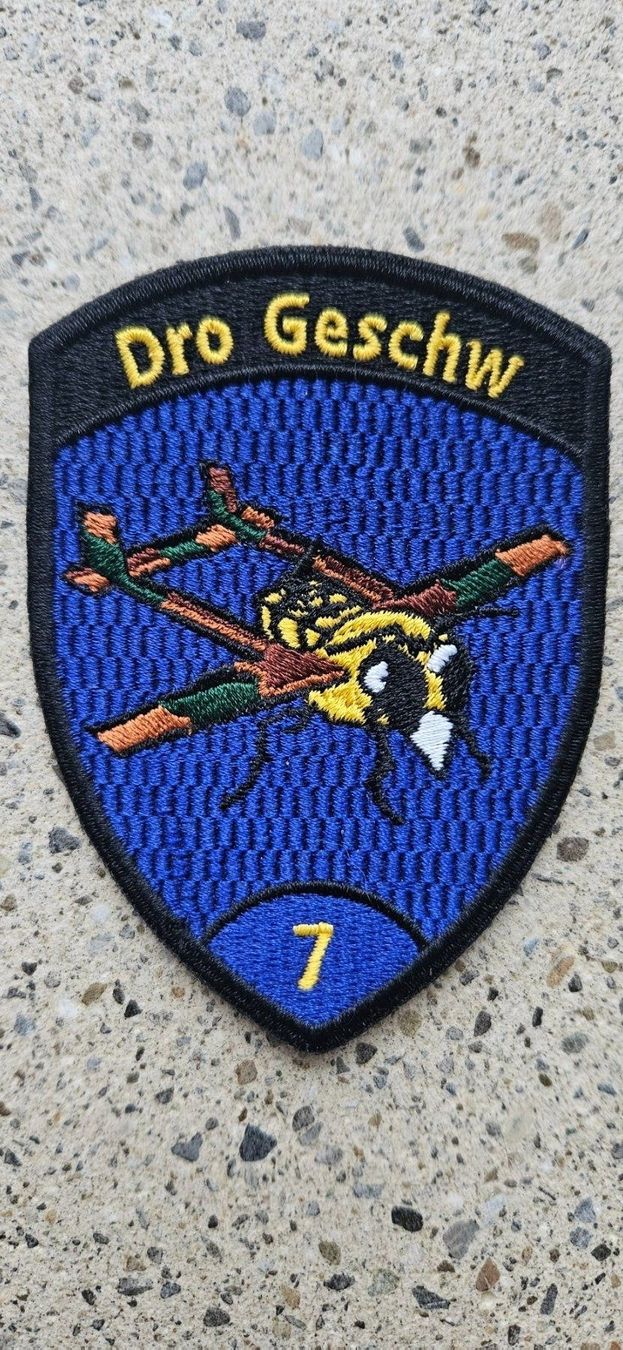 Schweizer Armee Placchette & Badge: *** Badge ohne Klett *** – Usato da Riedholz venduto da fr_sIruP