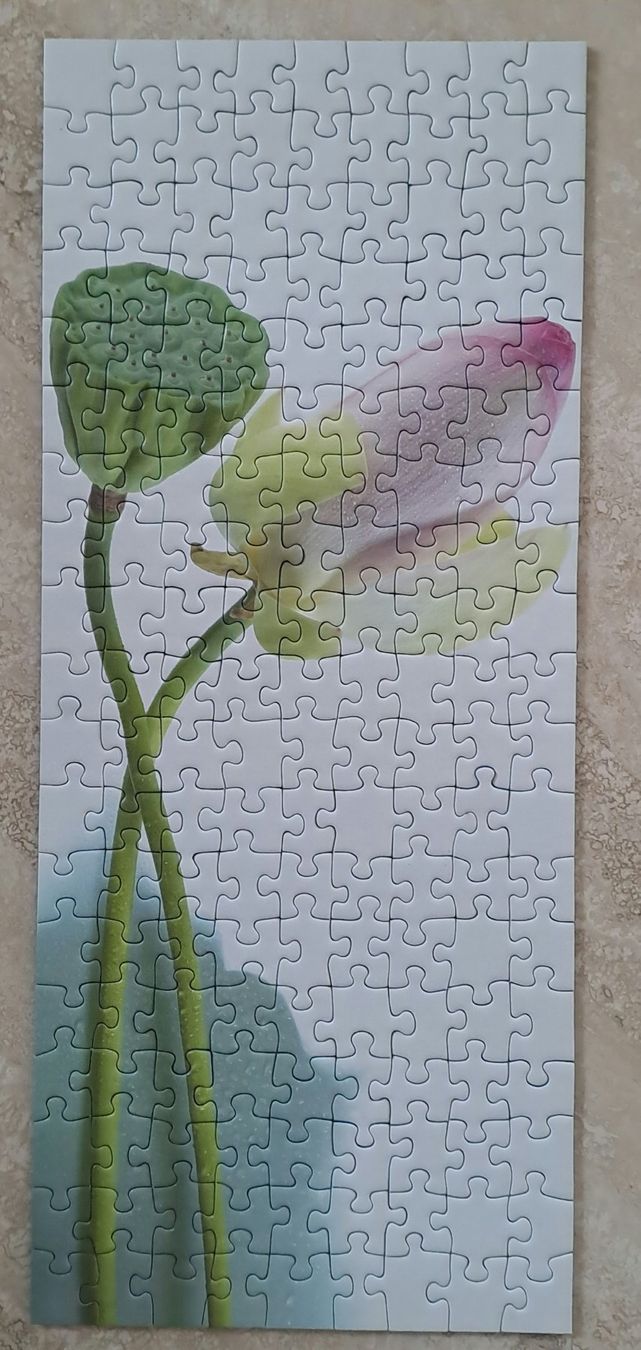 Ravensburger Puzzle: Puzzle 170 pieces Ravensburger une Fleur – Nuovo (secondo la descrizione) da Le Noirmont venduto da sportboutique 1