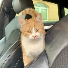 Profile image of aaalasca