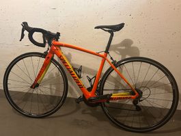 Specialized Amira Comp Torch Edition - 51, selten genutzt