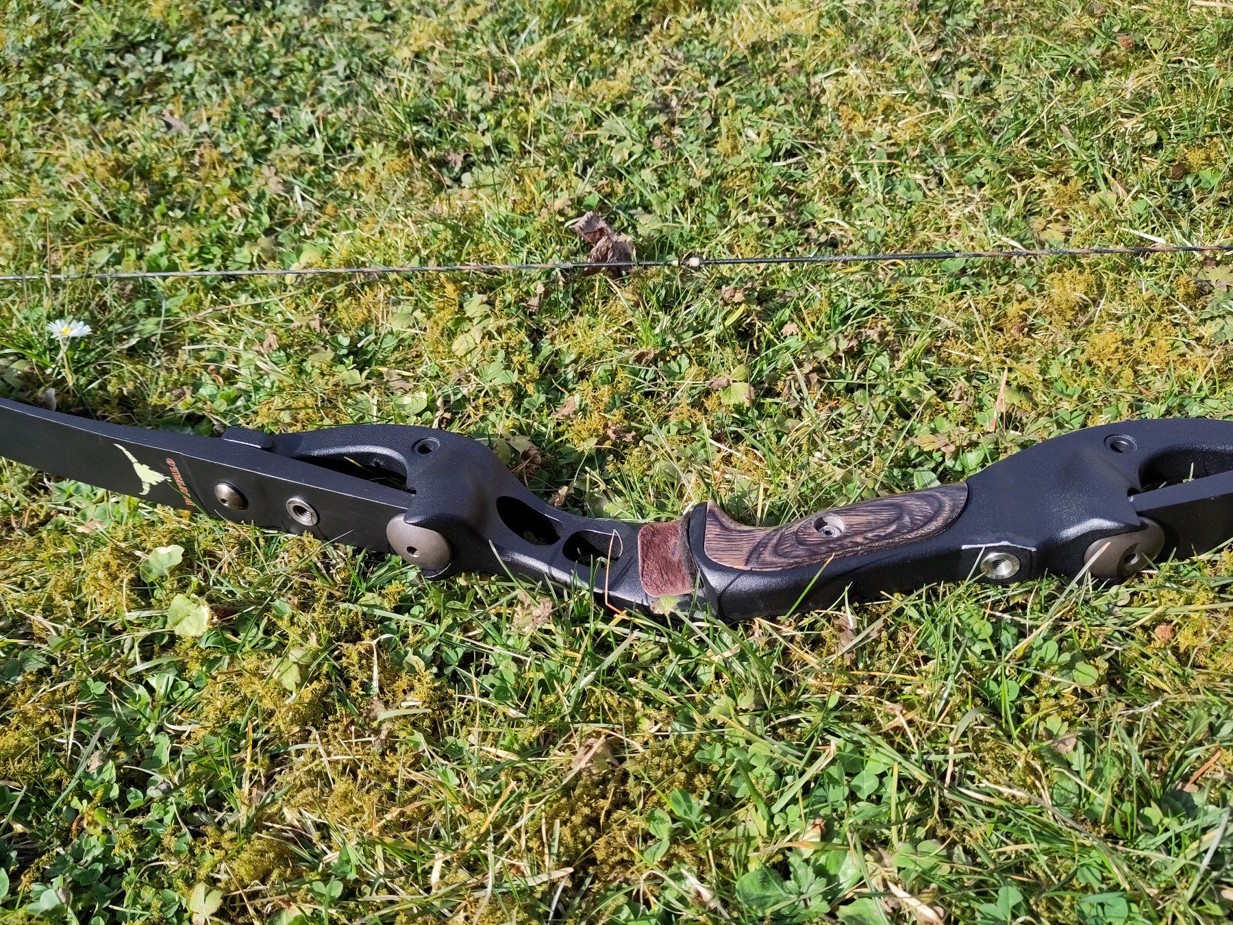 Hoyt Tiro con l'arco: Hoyt Takedown Bogen Buffalo 35# – Usato da Meilen venduto da Glaussonauten 3