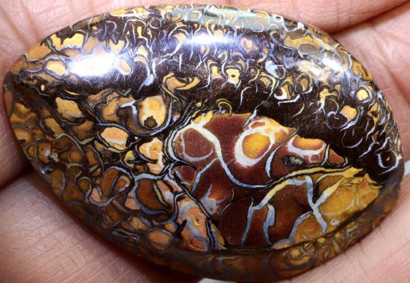Pietre preziose: Australischer Boulder Opal 57.60Cts. – Nuovo (secondo la descrizione) da Bern venduto da Grindelwaldaus 1