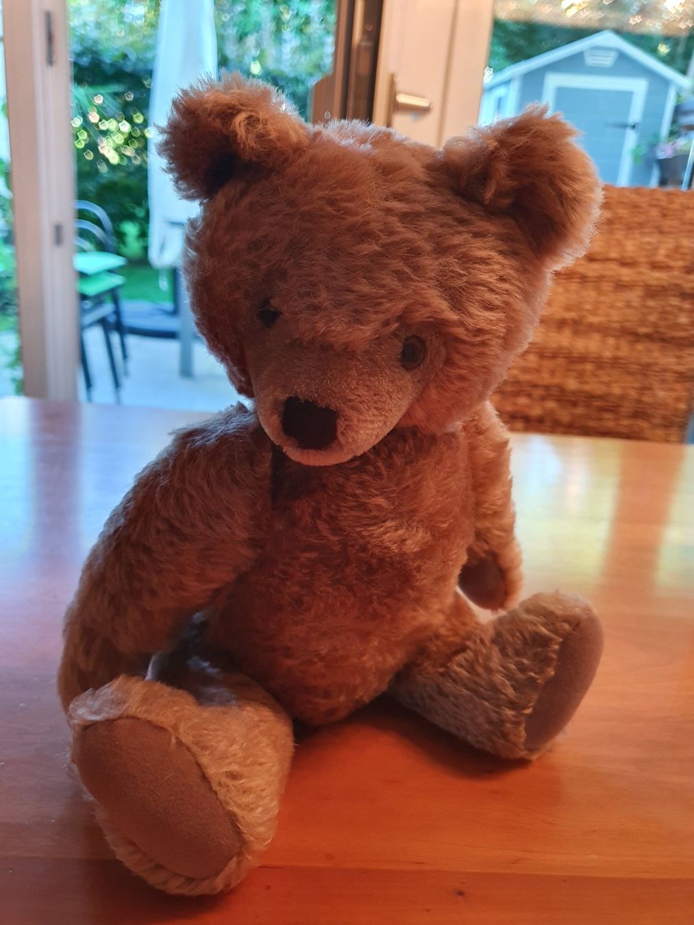 Giocattoli: Antiker Teddybär – Usato da Thalwil venduto da meinverkauf 2