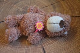 NICI - BARE - CM 18