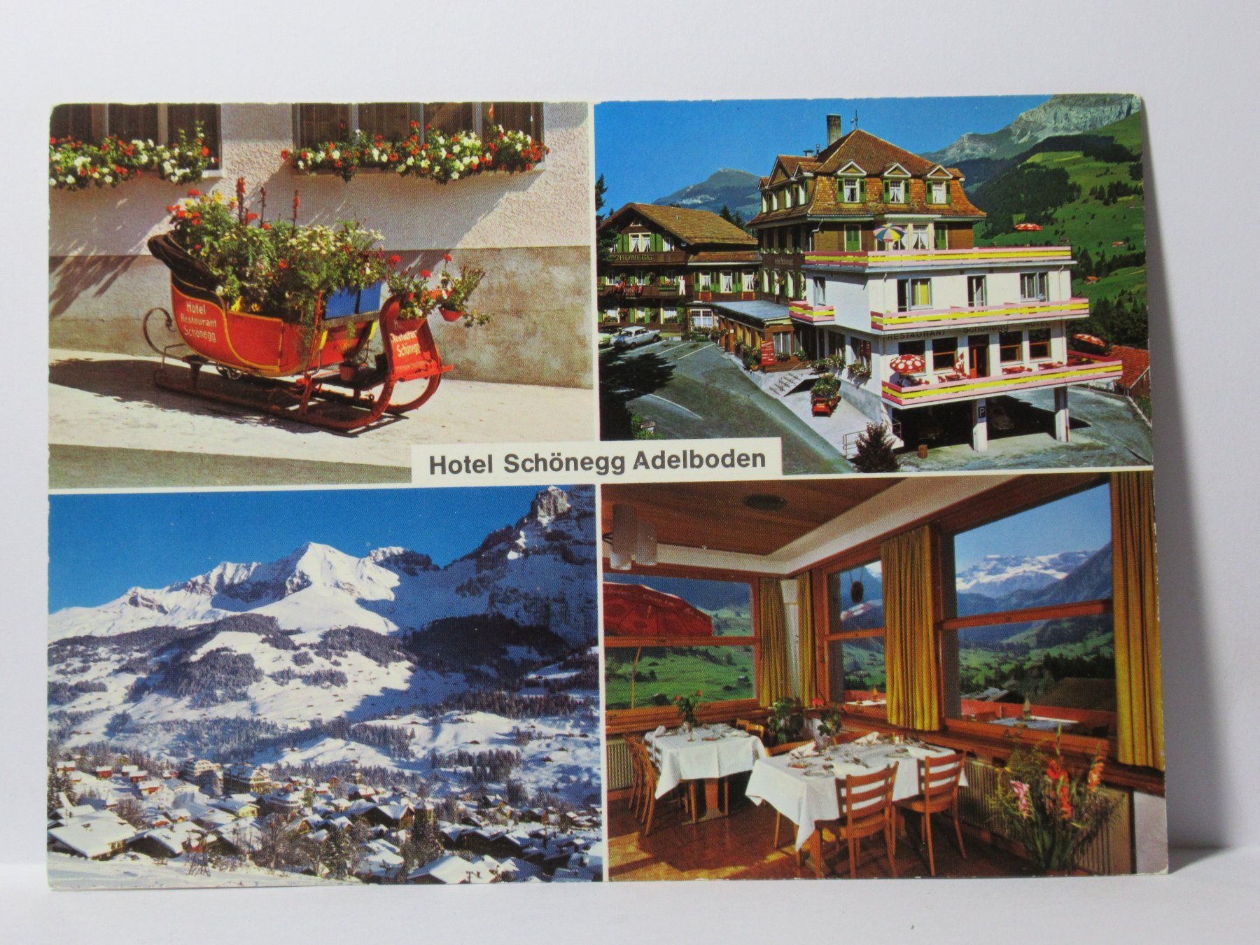 Cartoline postali: Hotel Schönegg , Adelboden – Nuovo (secondo la descrizione) da Grenchen venduto da Bluemchen1900