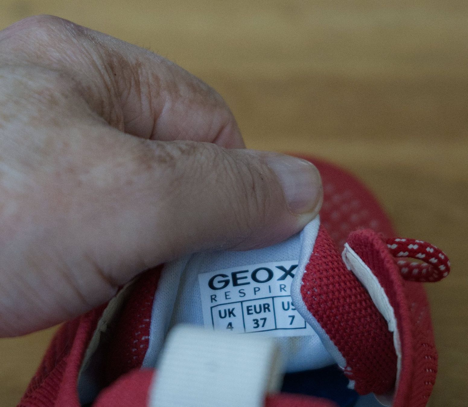 Geox Chaussures femmes: Geox Sneaker Rot Damen Gr. 37 – D'occasion à Basel par Verkauf_Aral 5