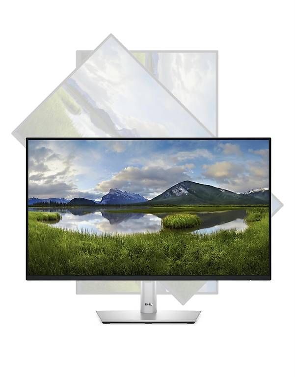 Dell Ecrans: Monitor DELL P2425H – D'occasion à Thun par lllyynnnn 2