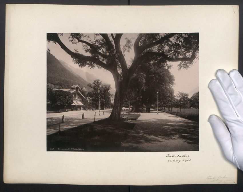 Fotografie & Manifesti: Fotografie Interlaken, Promenade im Ort, – Usato da Berlin venduto da bartko-reher