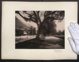 Fotografie Interlaken, Promenade im Ort,