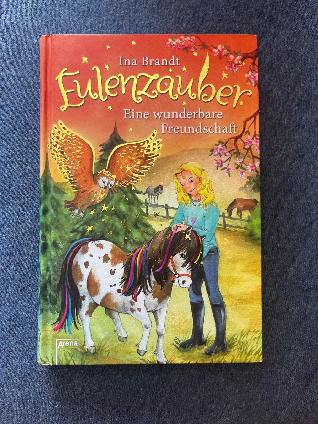 Libri: Eulenzauber Eine wunderbare Freundschaft. – Usato da Rorschacherberg venduto da see03