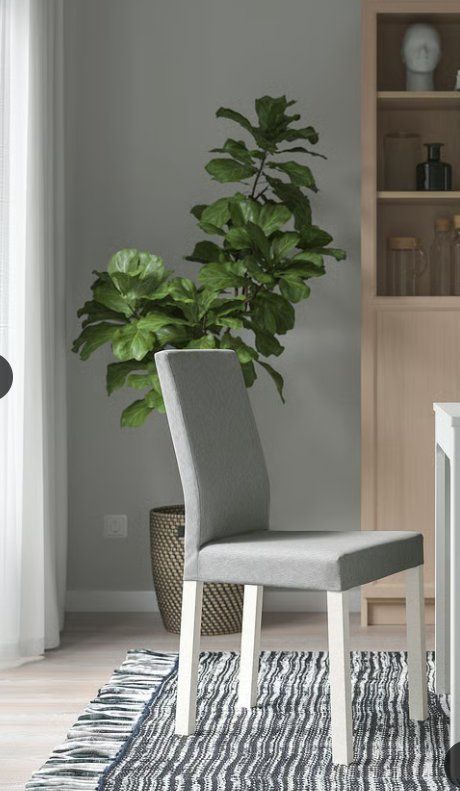 Ikea Stühle: 6 IKEA Esszimmerstühle mit hellgrauen Bezügen – Gebraucht aus Liestal von aln_wsc2