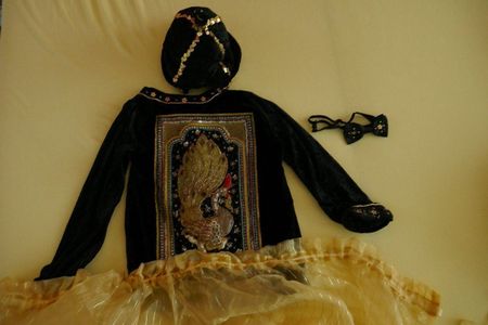 Neu/Unikat: Kostüme Husare Fasnacht