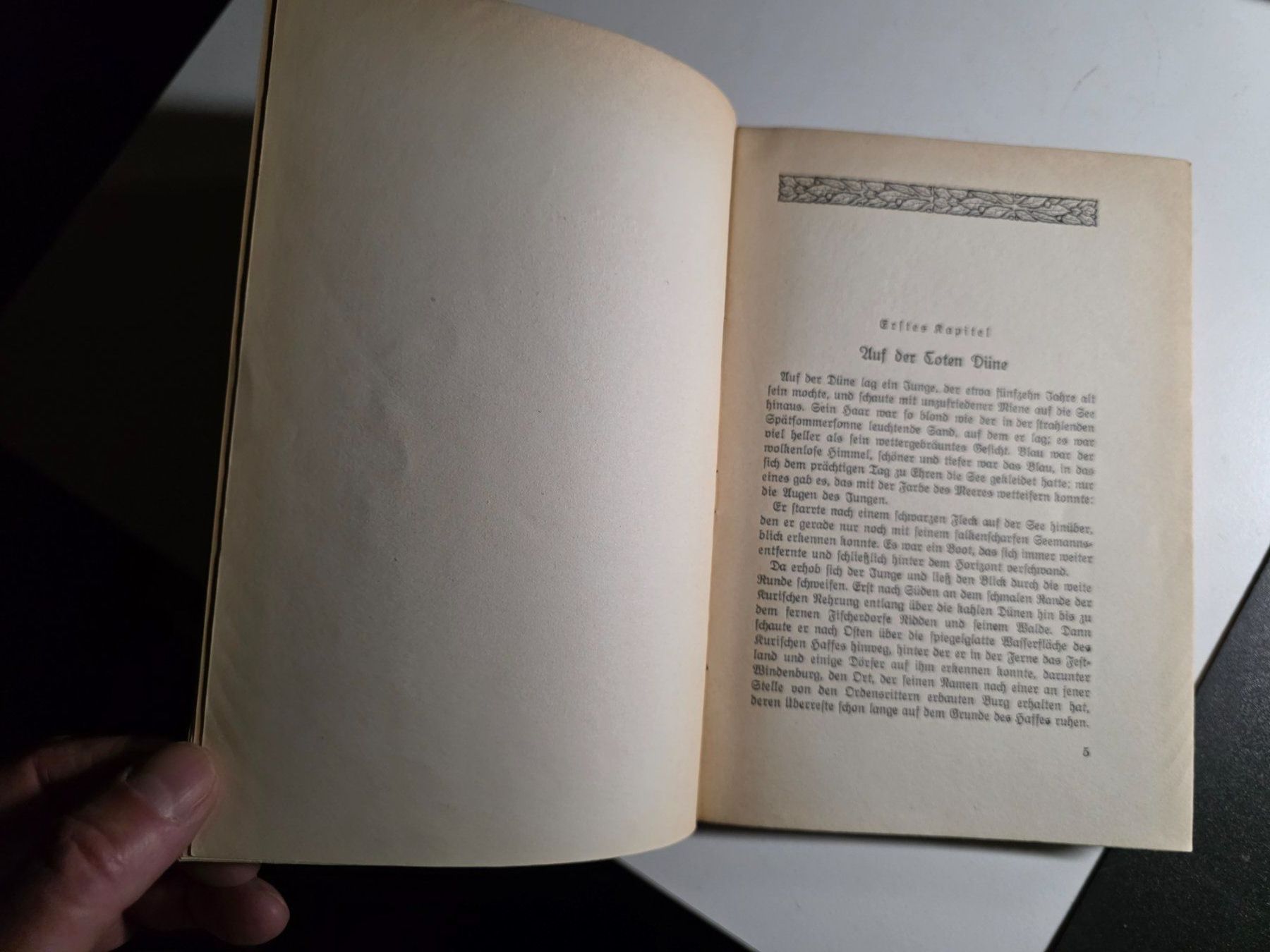 Libri: Die Schatzsucher - G.Ch. von Tiedewitz – Usato da Walterswil BE venduto da Lonitti 6