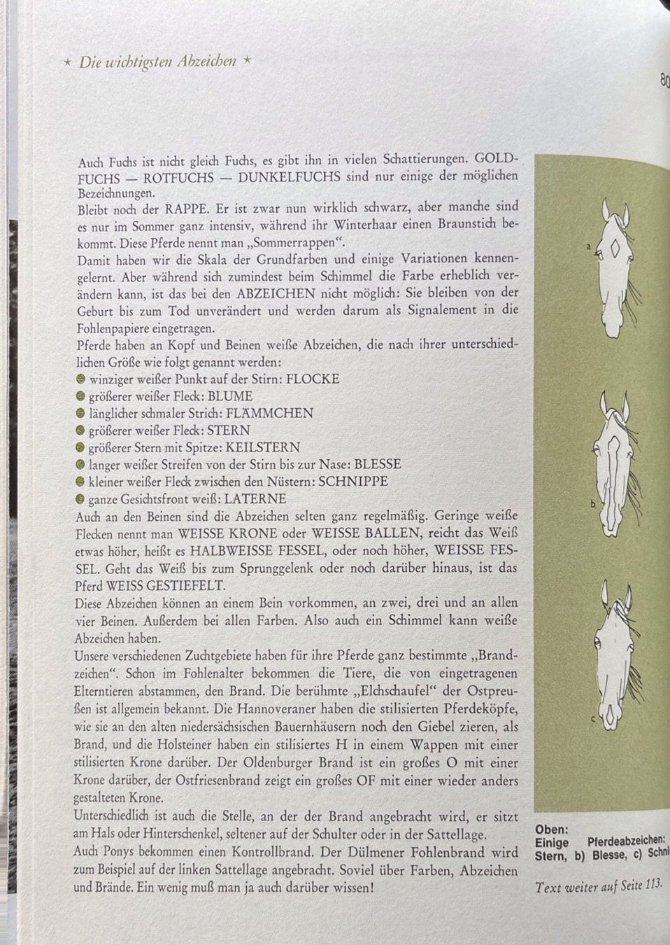 Libri: Fiedelmeier Leni, Pferde Freizeit Sport – Nuovo (secondo la descrizione) da Sarnen venduto da Livres 6