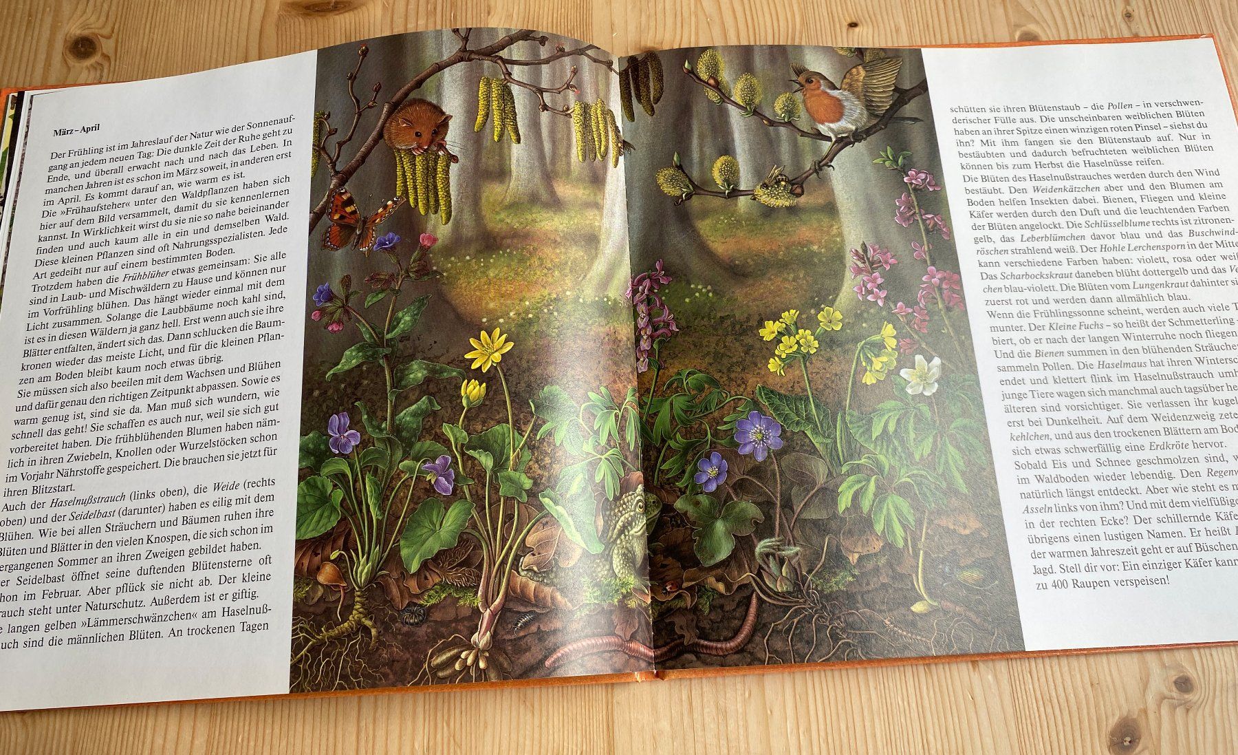 Livres: Irmgard Lucht: die Wald-Uhr – D'occasion à Weinfelden par Cheyenne21 7