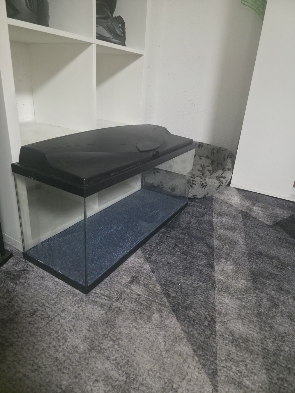 Aquarium: vendo acquario 70L – Gebraucht aus Faido von SX32 1