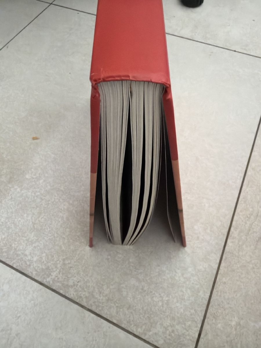 Bücher: Book " Pin-Ups" excellent condition – Gebraucht aus Martigny von Jacoosh1234 1