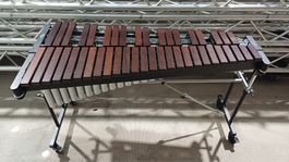 STUDIO 49 RXC 3050/V | Professionelles Konzert Xylophon