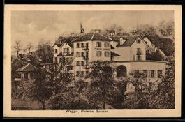 AK Weggis, Pension Baumen mit Garten
