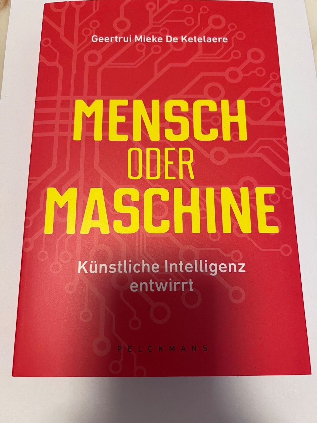 Libri: Mensch oder Maschine: Künstliche Intelligenz entwirrt – Nuovo (secondo la descrizione) da Zürich venduto da C.Bir