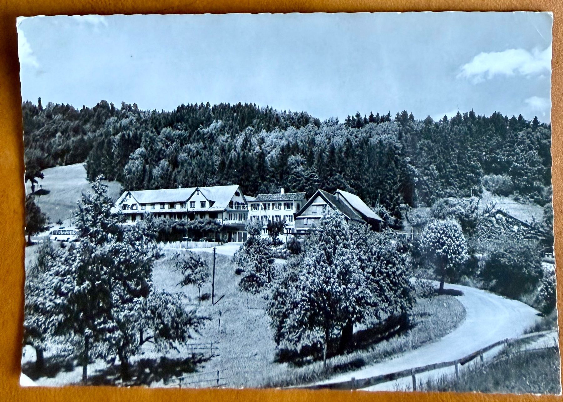 Cartoline postali: Hinwil - Kurhaus Hasenstrick 1963 – Usato da Lutry venduto da Ediego