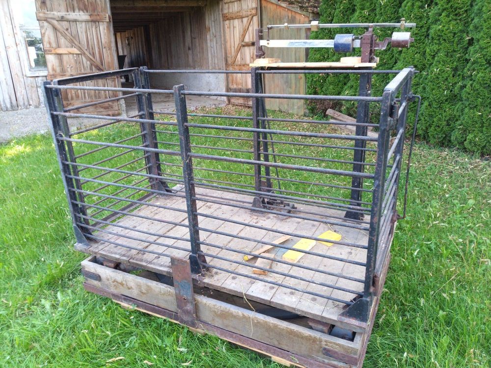 SIEEOUR Viehwaage Plattformwaage Bausatz, Industrielle Stahlträger Drucklastzellenwaage, 5000 Kg Kapazität, Langlebig Mit Wiegender Anzeige, Für Rinder, Schweine, Schweine, Schafe