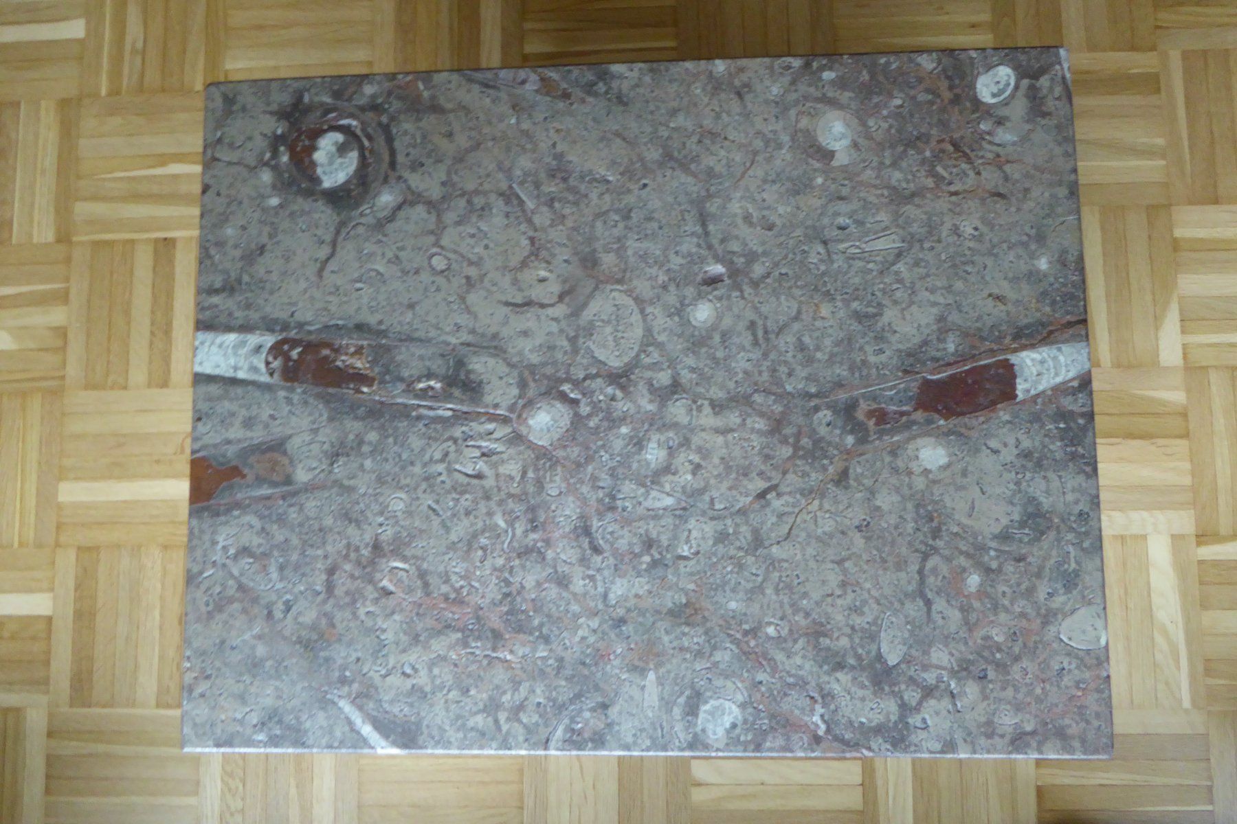 Tavoli: Salontisch Natursteinplatte "Fossilien" – Usato da Bischofszell venduto da MZumbach