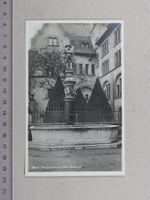 Basel, Seevogel - Brunnen beim Staatsarchiv