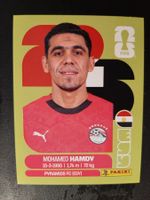 Panini 2026 EGY4