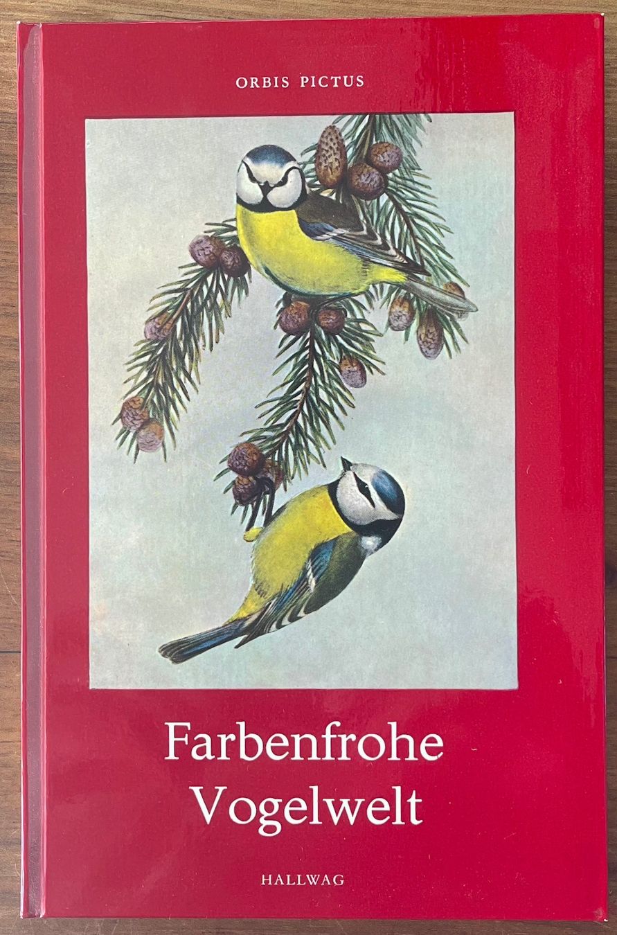 Libri: Farbenfrohe Vogelwelt - Hallwag – Usato da Burgdorf venduto da Bsb7