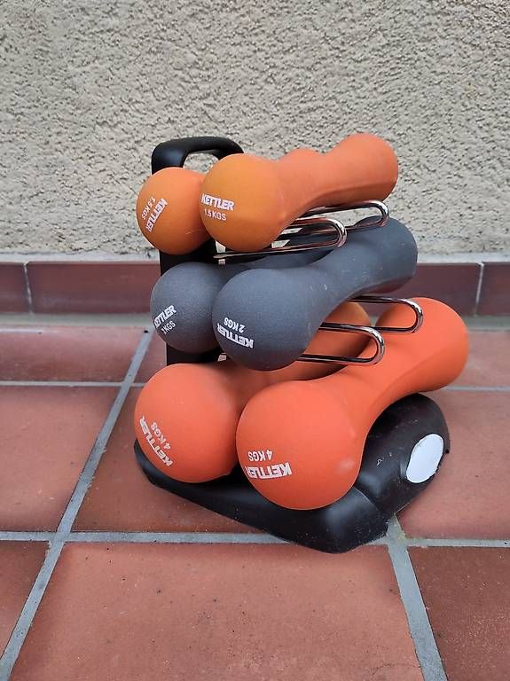 Kettler Manubri & Pesi: Kettler Kurzhantel Set – Usato da Muttenz venduto da Laeckerlihamschter 1