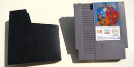 NES : Prince of Persia