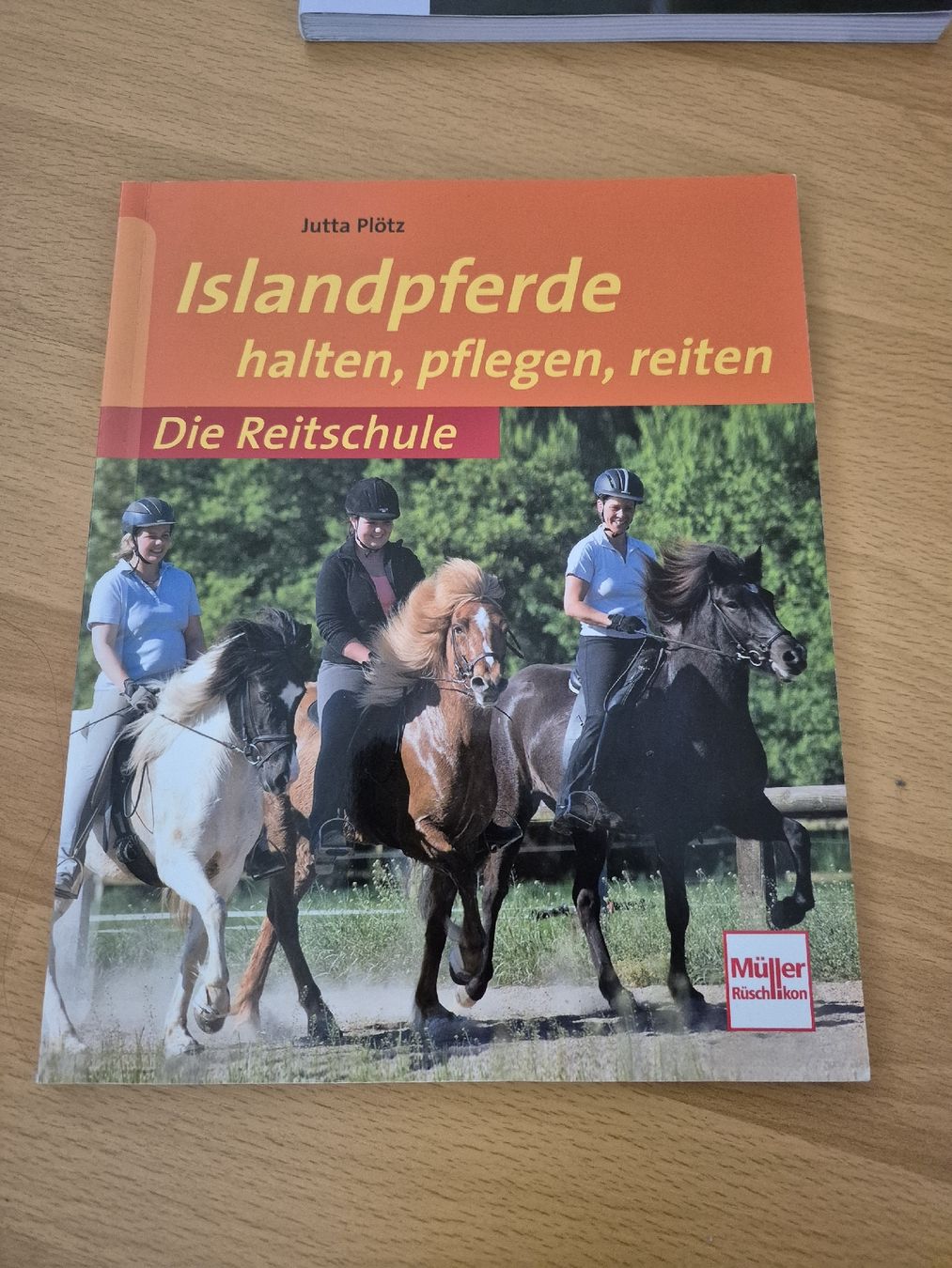 Briglie & Cavezze: Pferdefachbuch 'Islandpferde halten, pflegen, reiten'' – Usato da Meggen venduto da Orrinka20