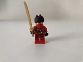 LEGO Kai - Tournament von Elements mit Dschungel Robe und Ha