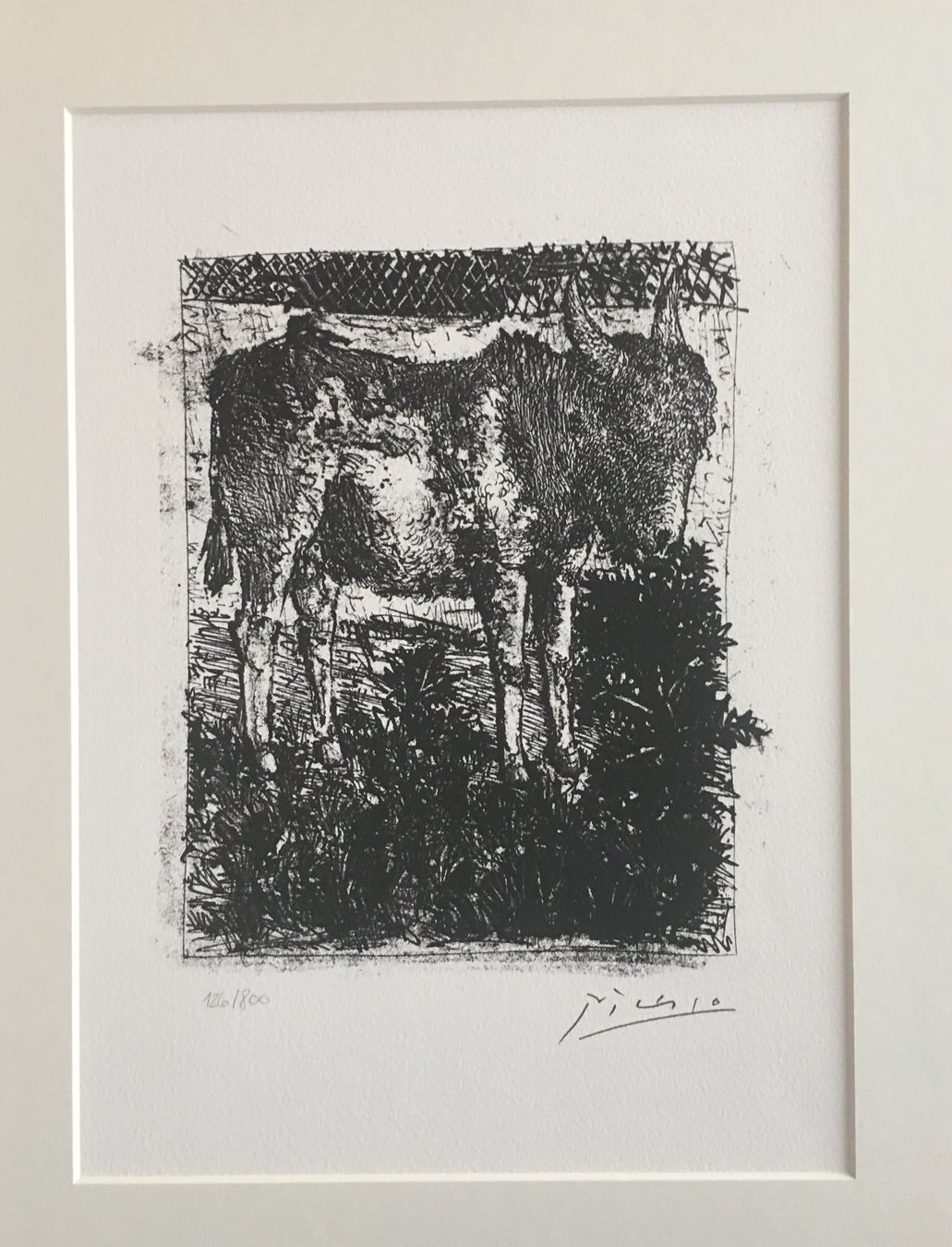 Grafica & Litografie: Pablo Picasso   Buffon Zyklus    "L' Ane"   Lithographie – Usato da Nennigkofen venduto da Sommersonnen 2