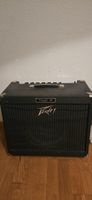 Peavey Classic 30 Gitarrenverstärker - Top Zustand!