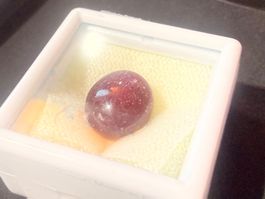 Natürlicher Rubis étoilé, 10,9ct  /Ruby