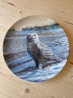 "The Snowy Owl" von Jim Beaudoin, Bradex-Teller Schneeeule